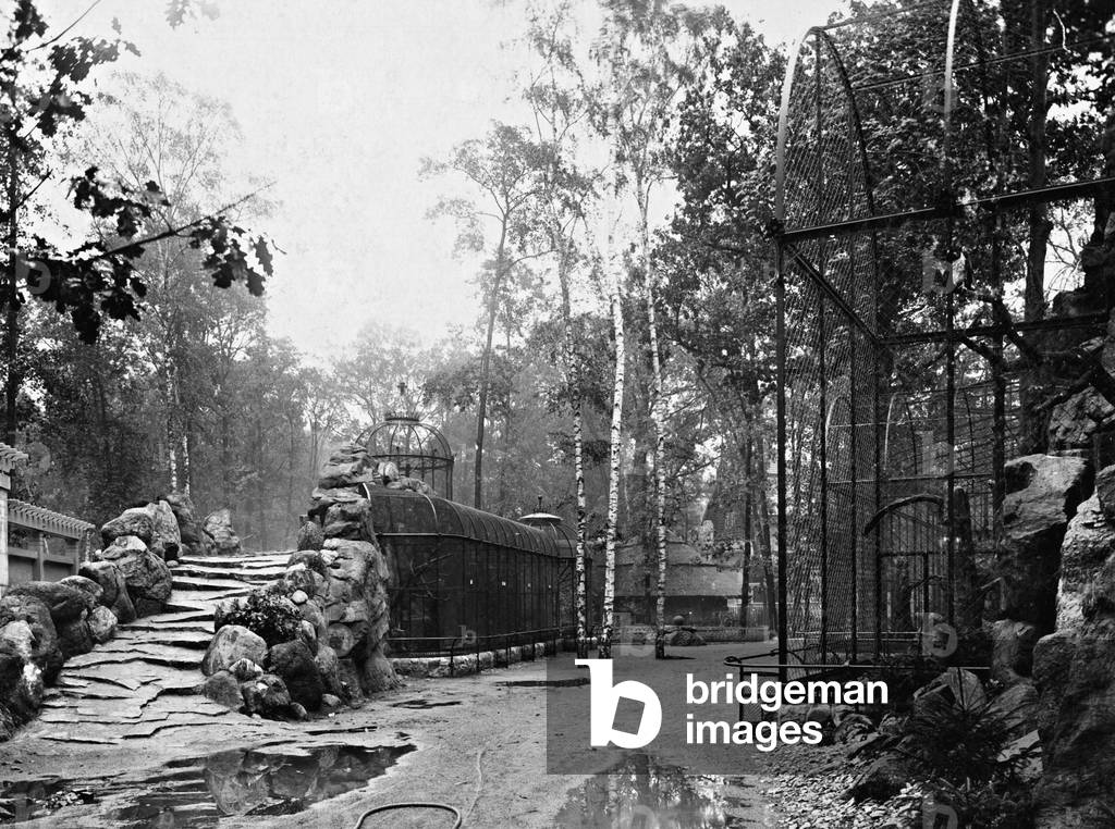 Aviaries in the Berlin Zoological Garden, 1910 (b/w photo)