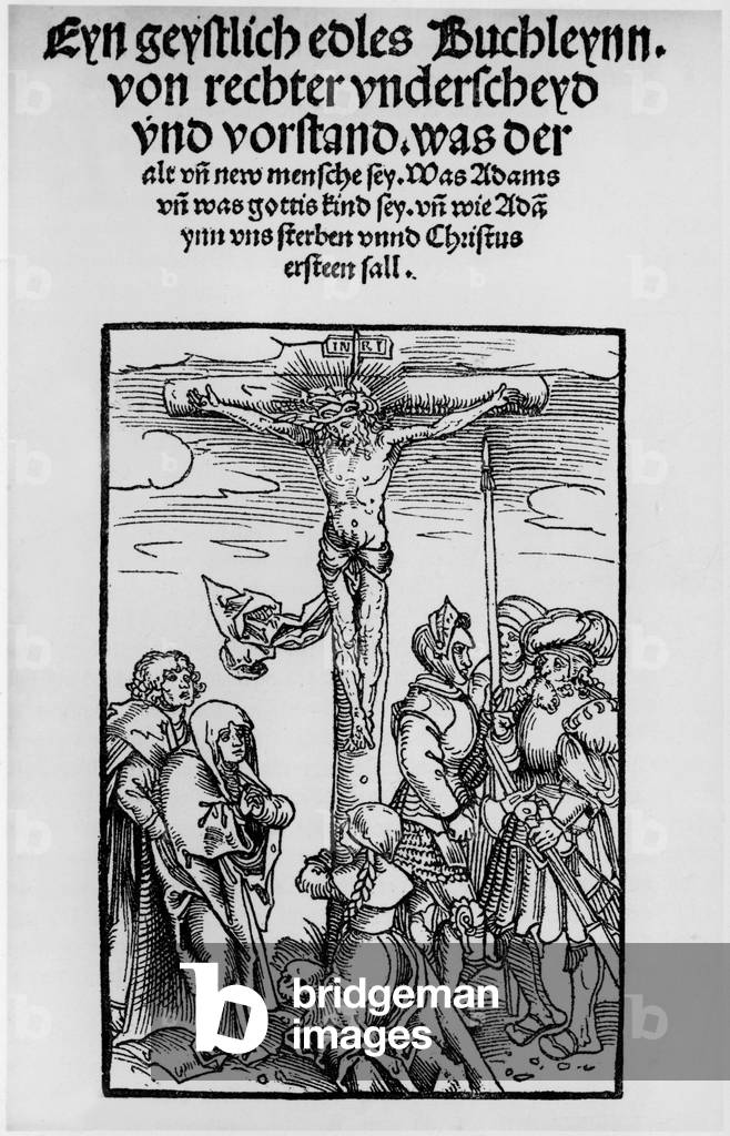 Cover image of the book 