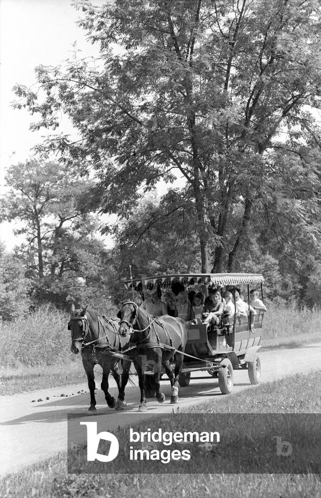 Horse-drawn vehicle in Upper Bavaria, 1974 (b/w photo)