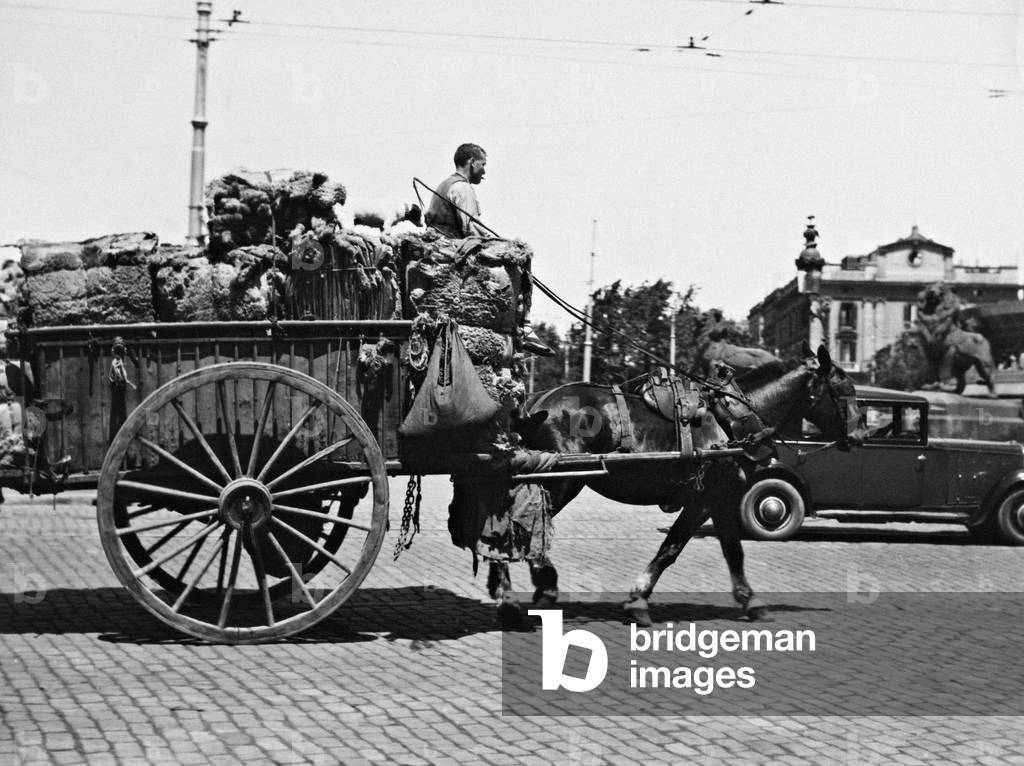 Horse car in Barcelona, 1936 (b/w photo)