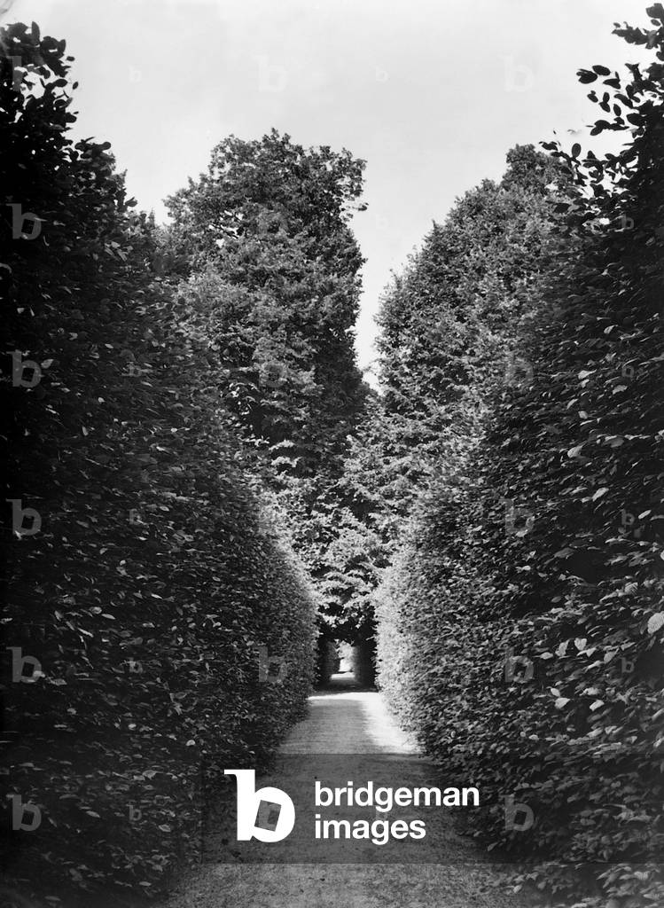 Park of the palace at Schoenhausen, 1933 (b/w photo)