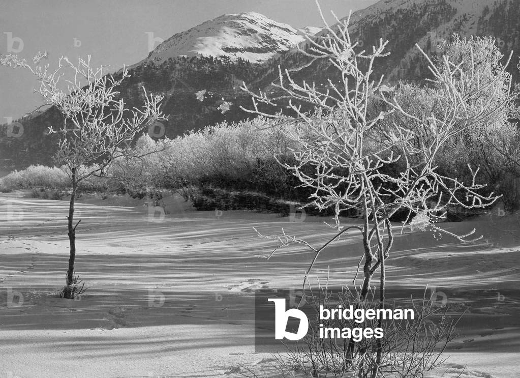 Panorama of the Alps, 1917 (b/w photo)