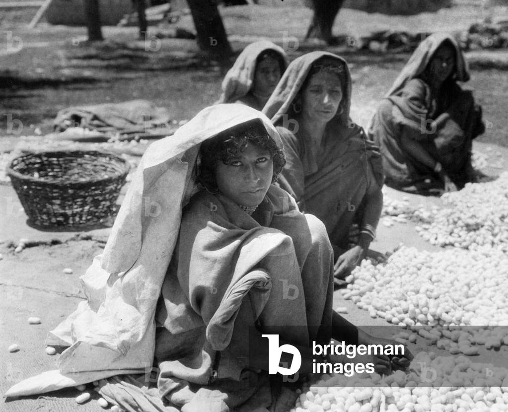 Indian women sort silkworm cocoons, 1930 (b/w photo)