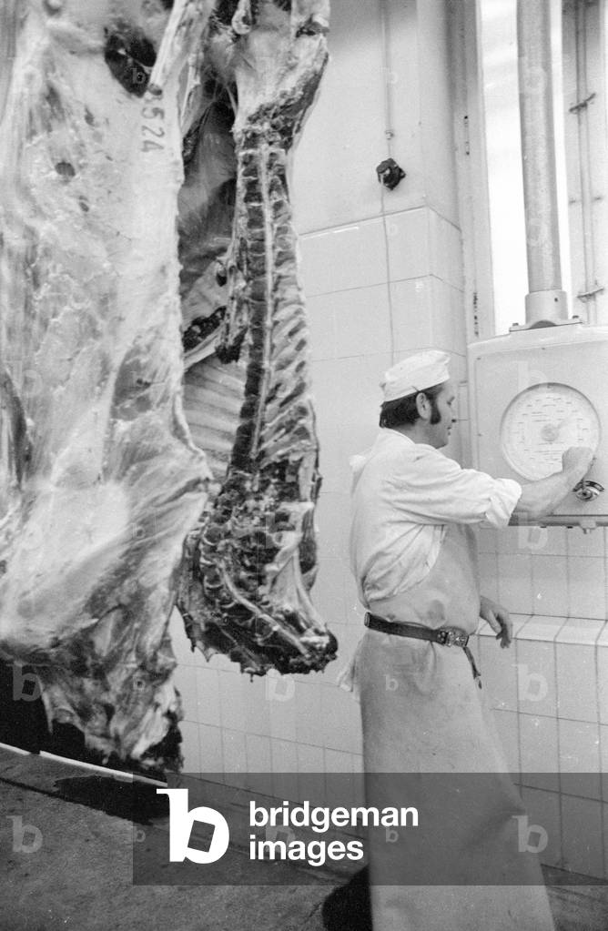 Slaughterhouse in Munich, 1974 (b/w photo)