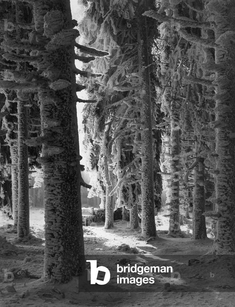 Winter landscape, 1933 (b/w photo)