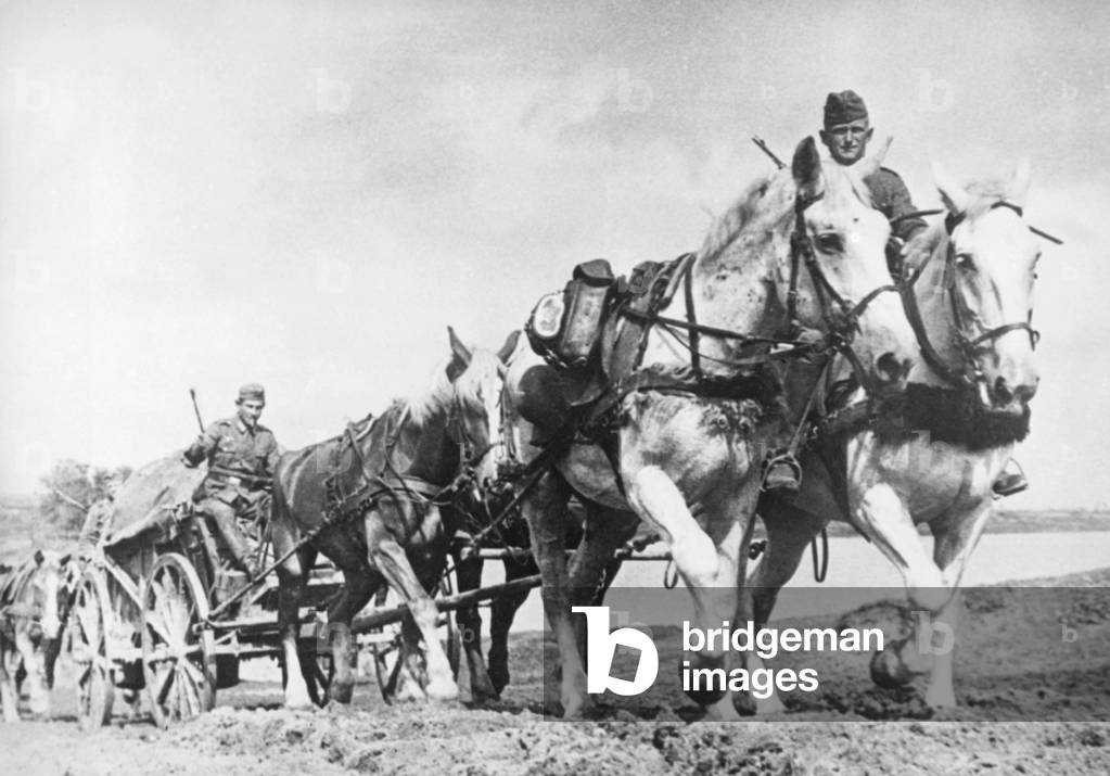 German supply column, 1941 (b/w photo)
