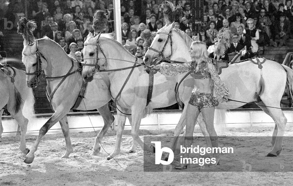 Peggy March in the show Stars in der Manege, 1971 (b/w photo)