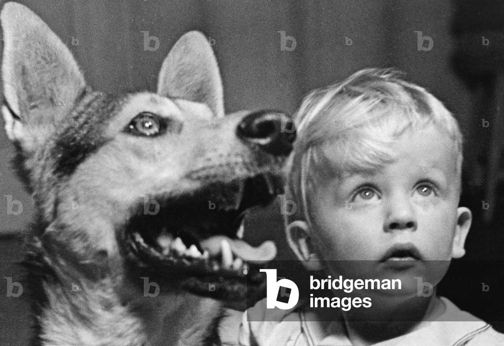 Toddler with a German Shepherd, 1937 (b/w photo)