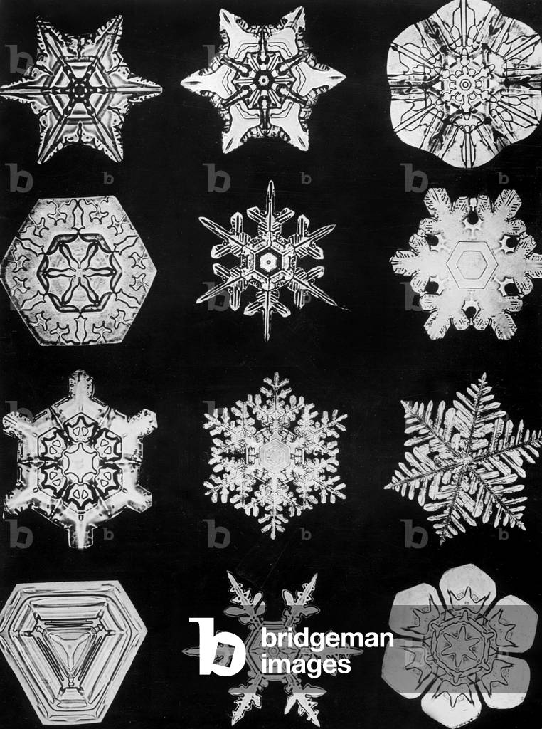 Ice crystals, 1942 (b/w photo)