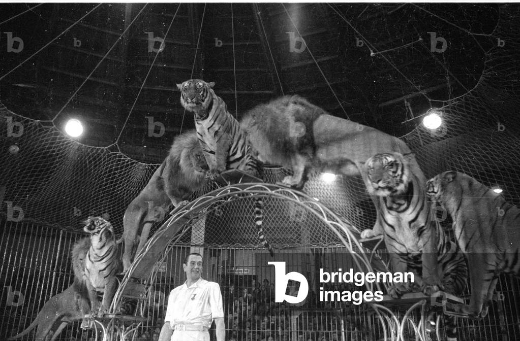 Circus program with predators, 1954 (b/w photo)