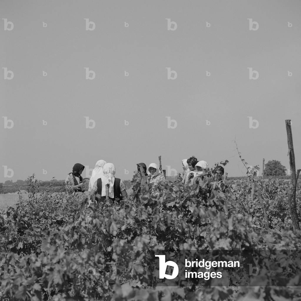 Bulgaria, 1967 (b/w photo)