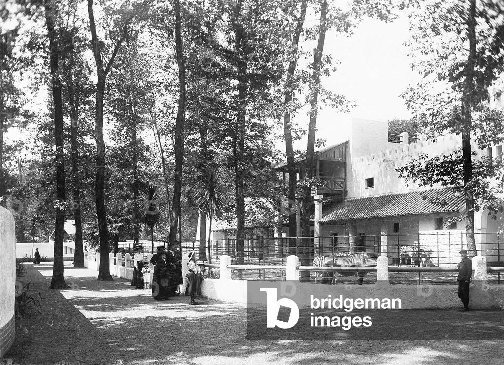 The Berlin Zoological Garden, around 1910 (b/w photo)
