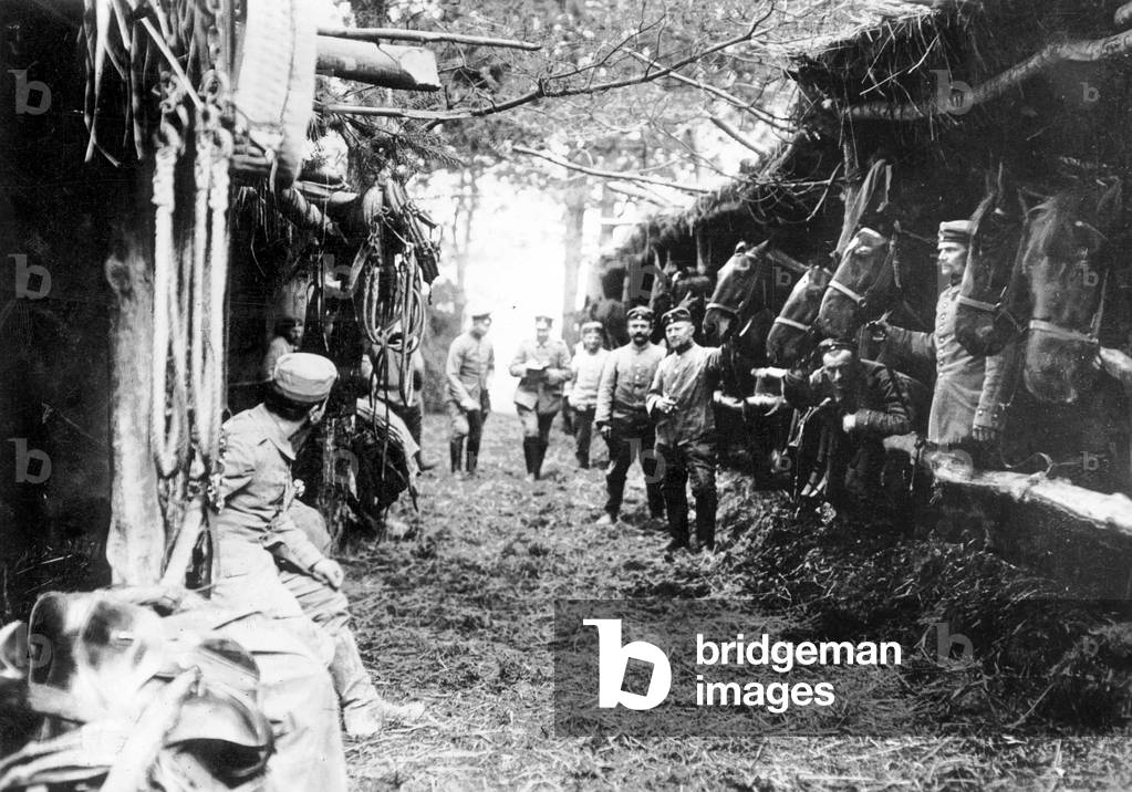 Stalls for horses on the Western front, 1914 (b/w photo)