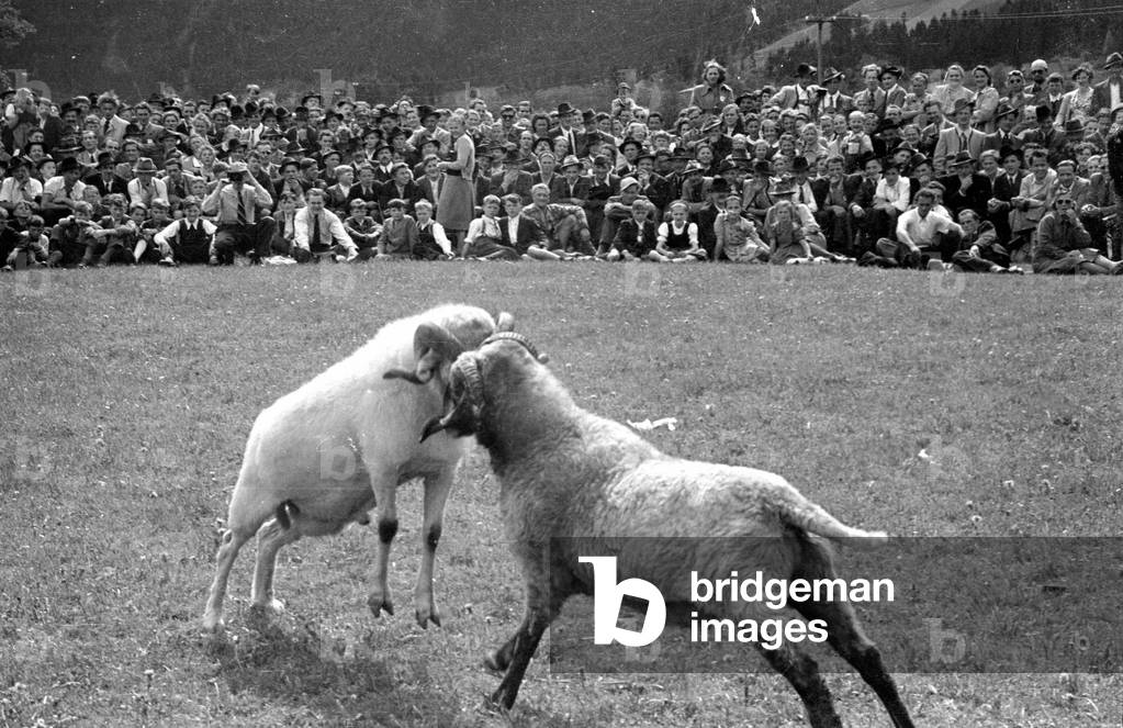 The Gauder Fest in Zell am Ziller, 1952 (b/w photo)