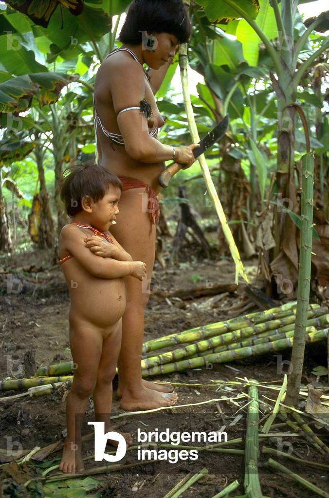 Yanomami, 1997