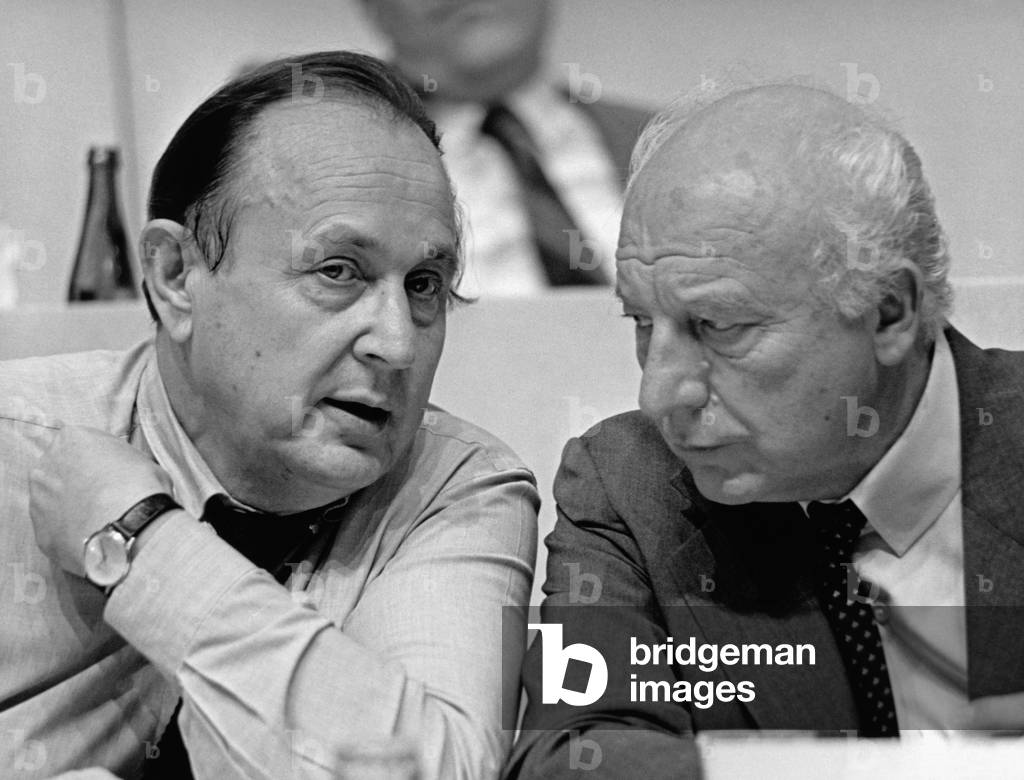 Walter Scheel (b/w photo)