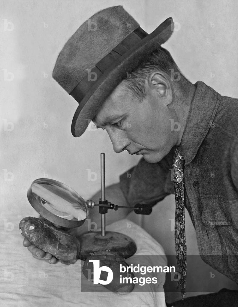 Roy Chapman Andrews examines dinosaur eggs, 1924 (b/w photo)