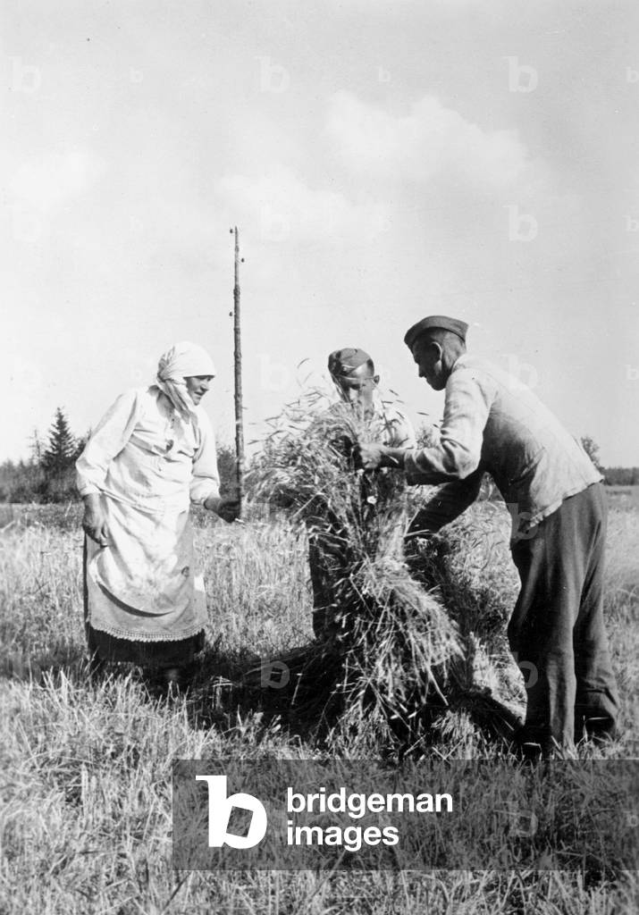 German soldier with a peasant woman on a corn field behind the Eastern Front, 1942 (b/w photo)