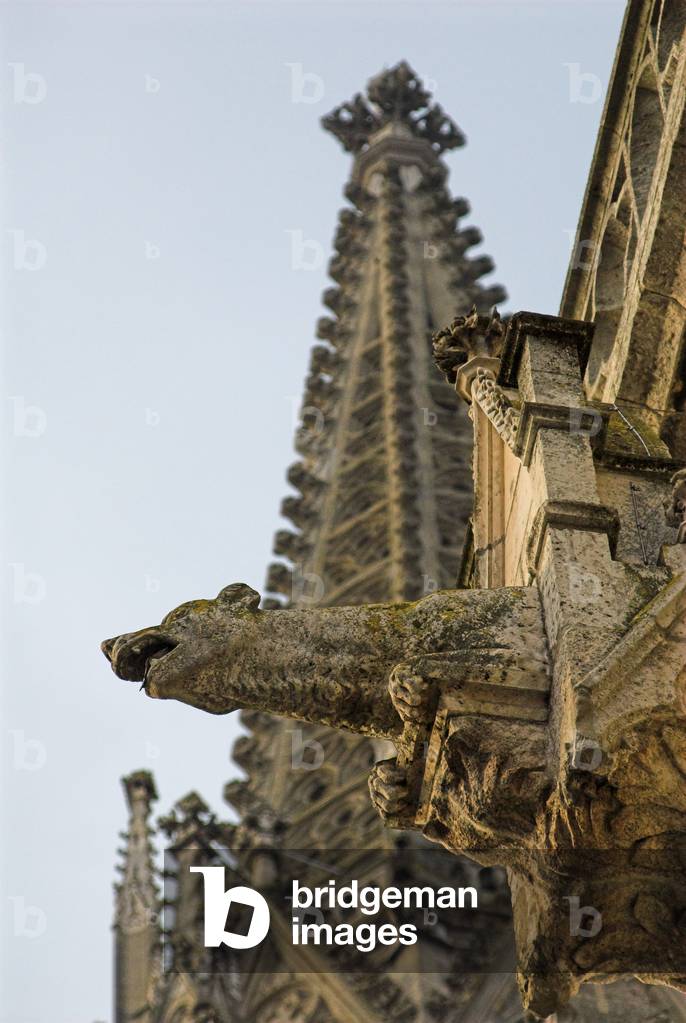 Gargoyle, St Peter's Cathedral, Regensburg, 14th century, 2010 (photo)