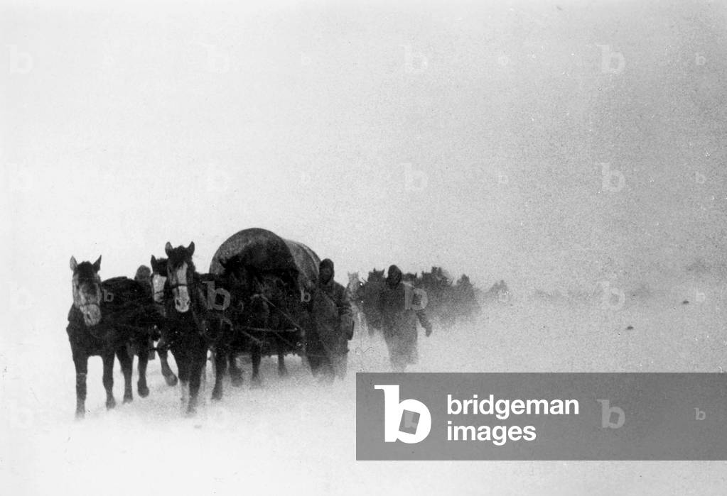 German soldiers with horse wagons on the Eastern Front, 1942 (b/w photo)