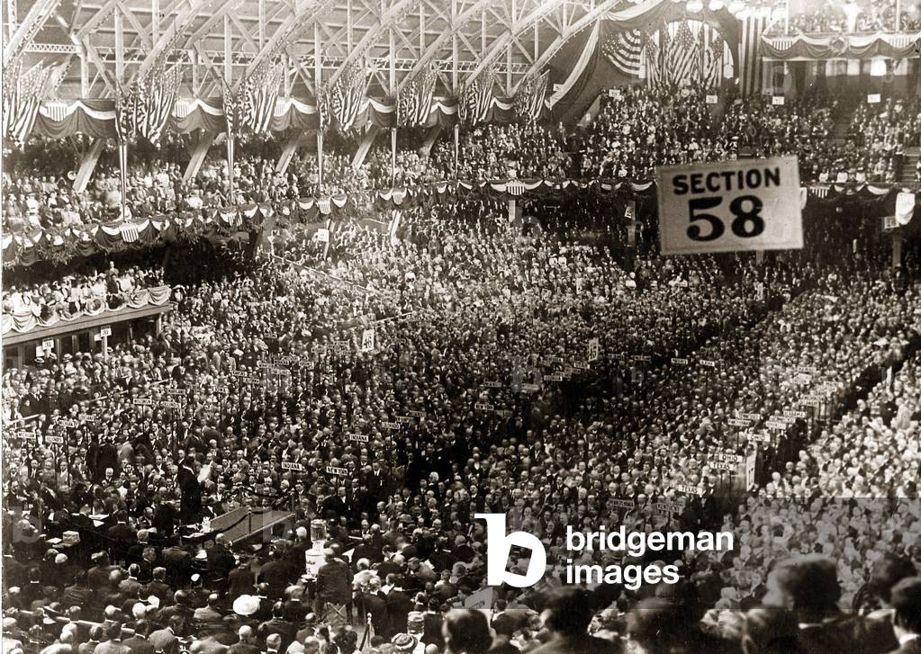 Presidential election in the USA (photo)