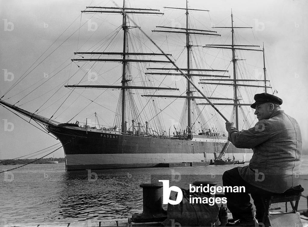 The sailing ship 