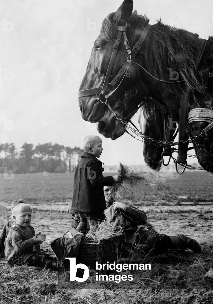 Children feeding horses, 1938 (b/w photo)