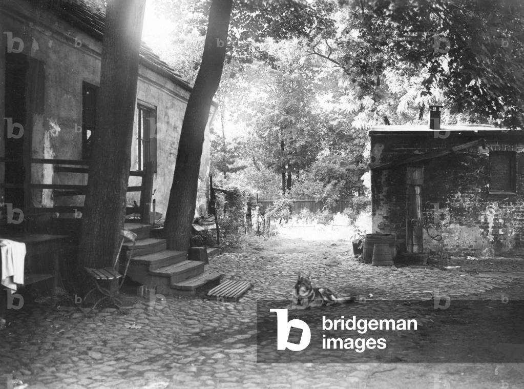 Court dog in front of an old farmhouse in Berlin, 1933 (b/w photo)
