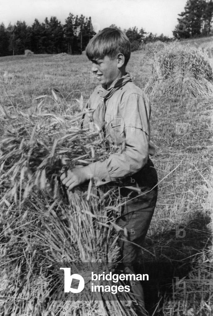 Member of the Deutsche Freischar doing field work, 1932