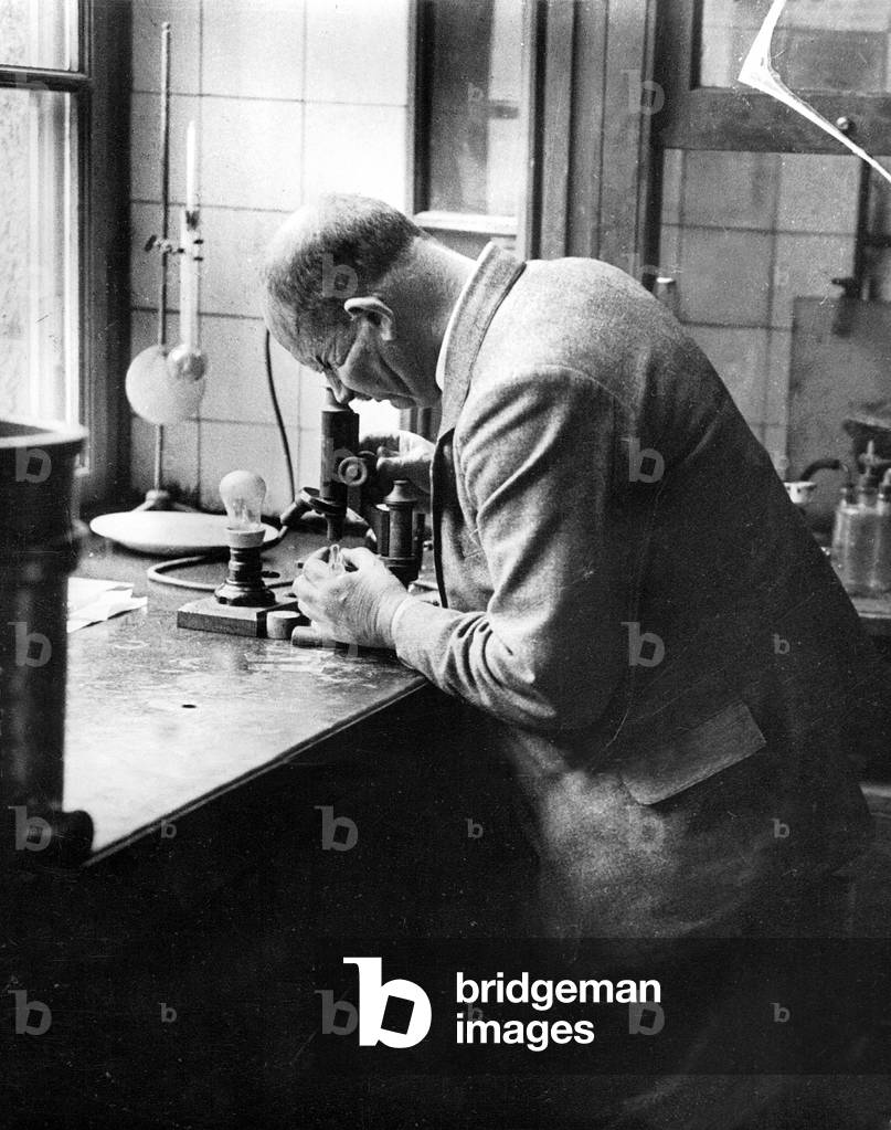 Hans Fischer at the microscope, 1931 (b/w photo)