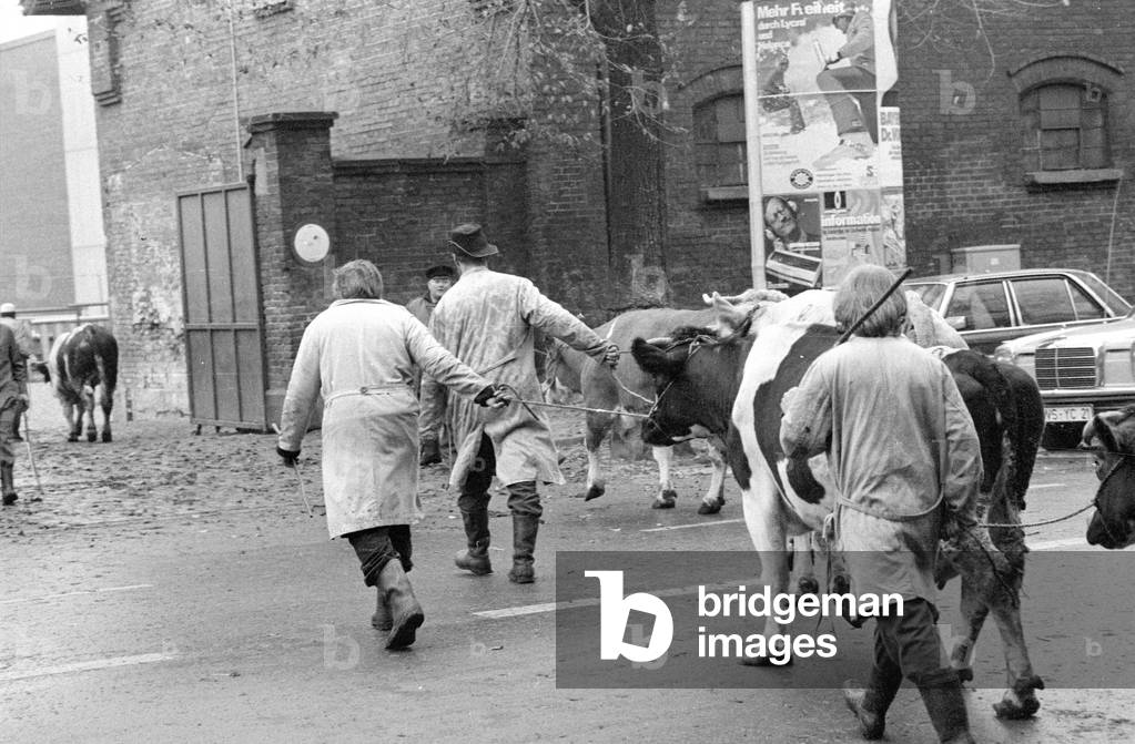 Slaughterhouse in Munich, 1974 (b/w photo)