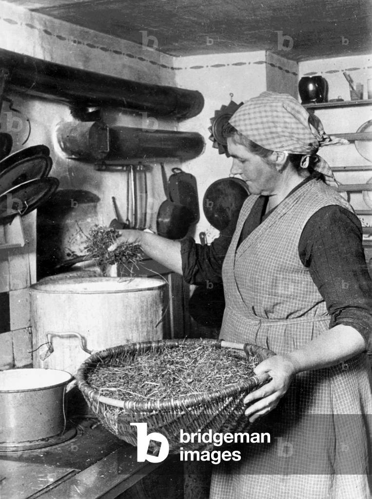 Preparation of a sud, 1940 (b/w photo)