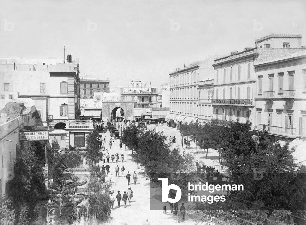 Marina in Tunis, 1908 (b/w photo)