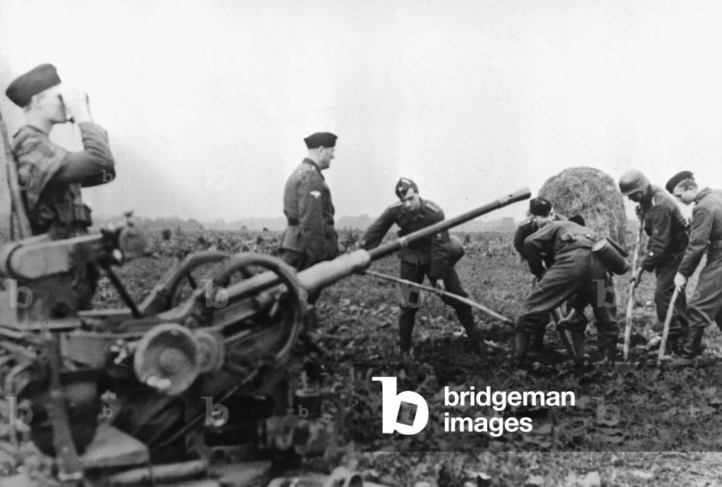 National Socialist Motor Corps preparing an anti-aircraft gun, Netherlands, 1944 (b/w photo)