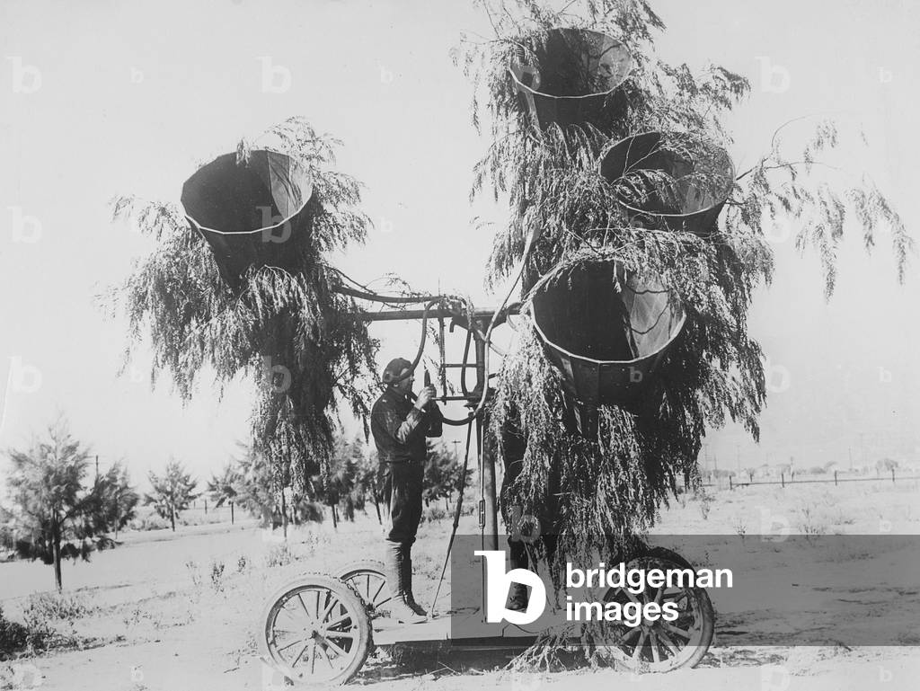 Sonic locating device of the American air defense, 1931 (b/w photo)