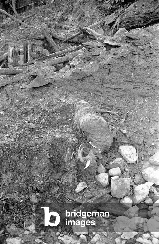 Bad weather in Italy, 1960 (b/w photo)