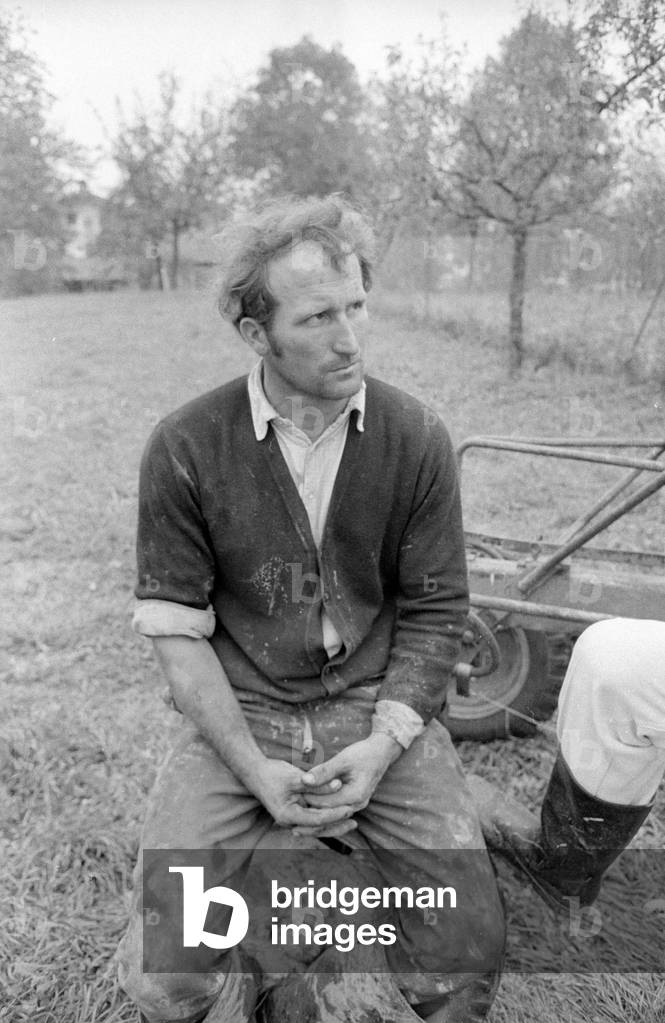 Storm damage at Lake Chiemsee, 1974 (b/w photo)