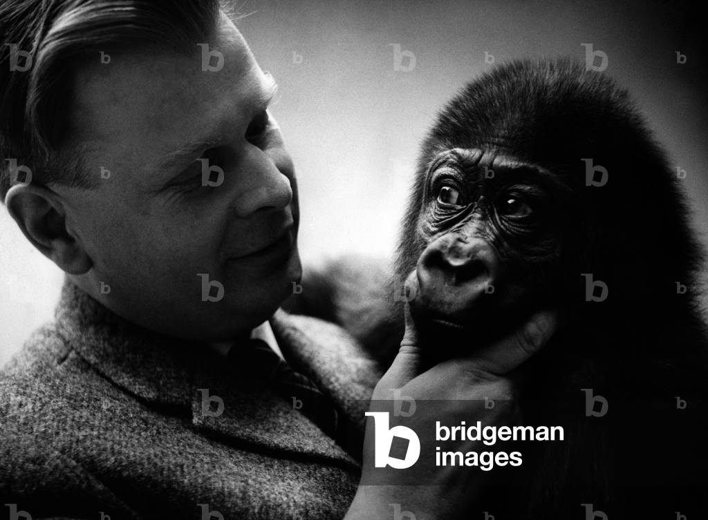 Heinz Georg Kloes, 1960  (b/w photo)