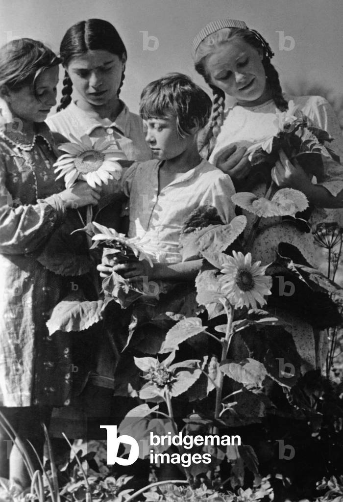 German settlers in Russia, 1942 (b/w photo)
