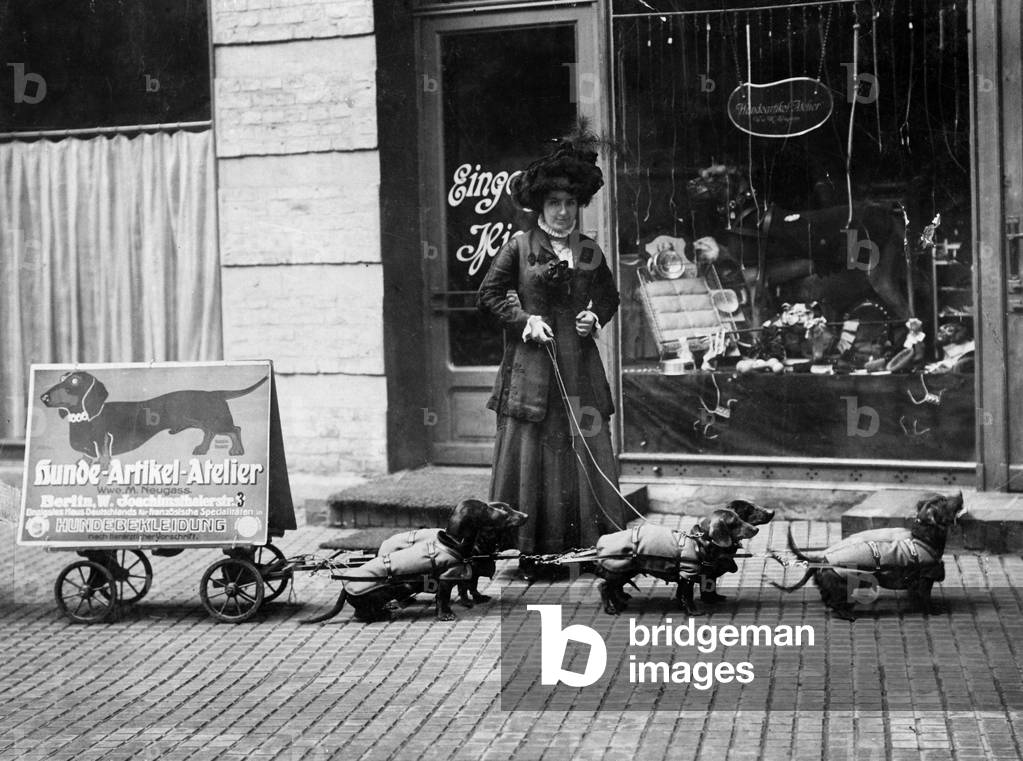 Advertising of a pet care business in Berlin, 1910 (b/w photo)