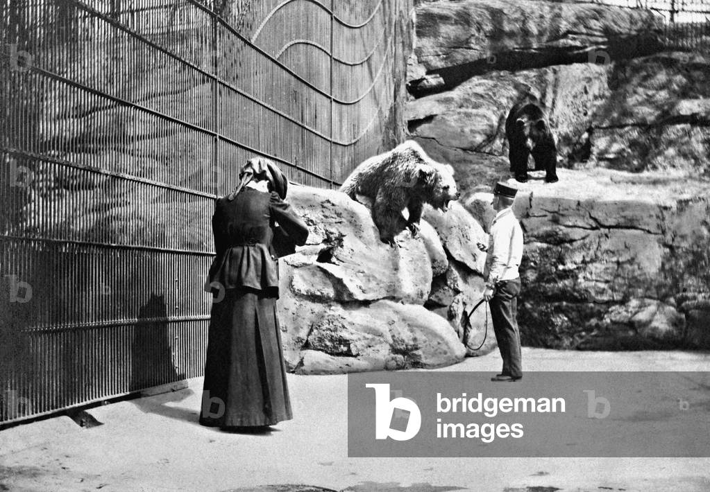Photographer in the bear cage at the New York Zoological Garden, 1905 (b/w photo)
