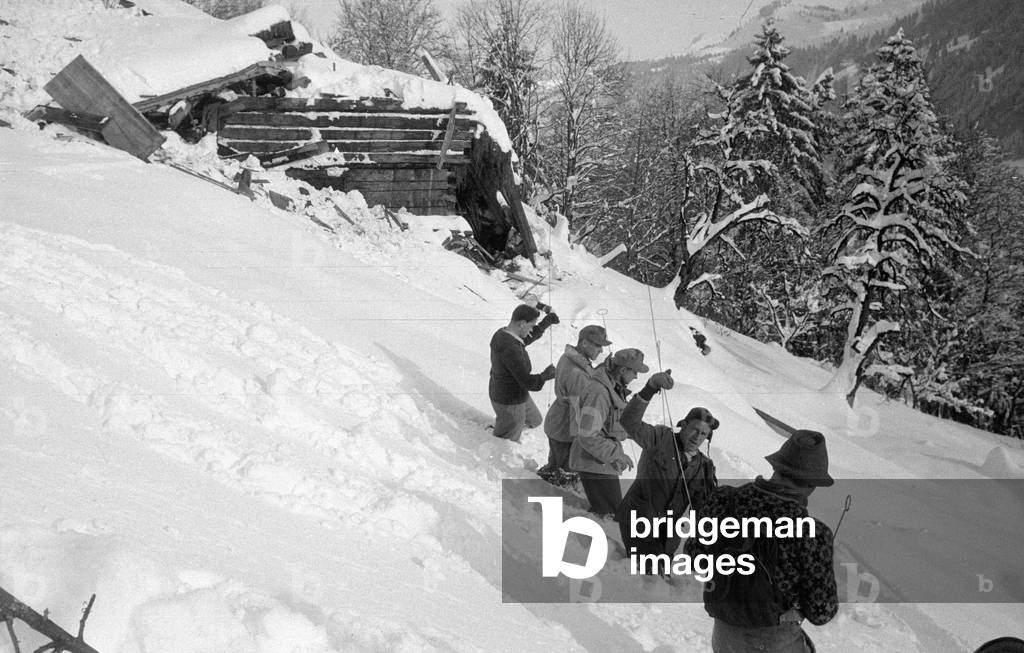 A rescue team with probes searching for survivors of the avalanche disaster in Blons, 1954 (b/w photo)