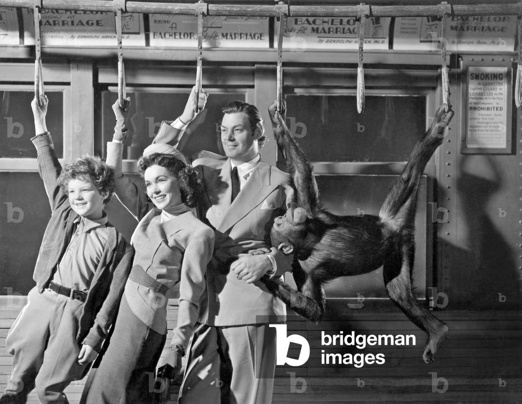 Johnny Sheffield, Maureen O'Sullivan and Johnny Weissmuller in 'Tarzan's New York Adventure', 1942 (b/w photo)