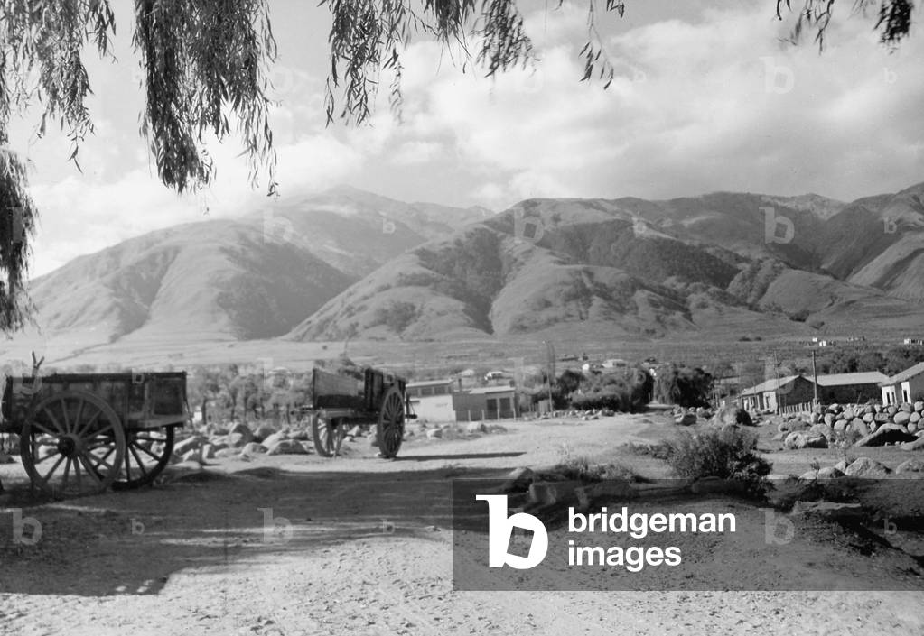 Landscape in Argentina, 1920 (b/w photo)