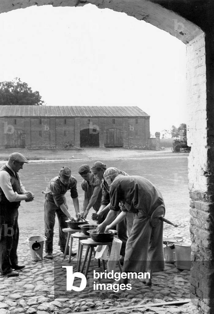 Eastern European agricultural workers are taught how to milk, 1942 (b/w photo)