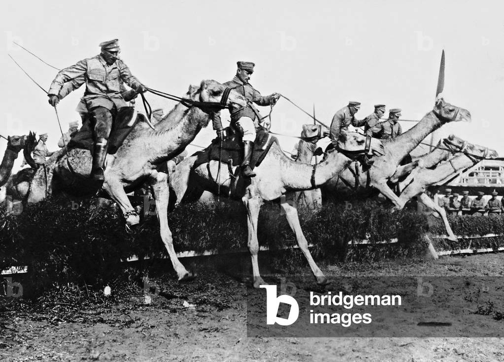 Camel riders during an obstacle race (b/w photo)
