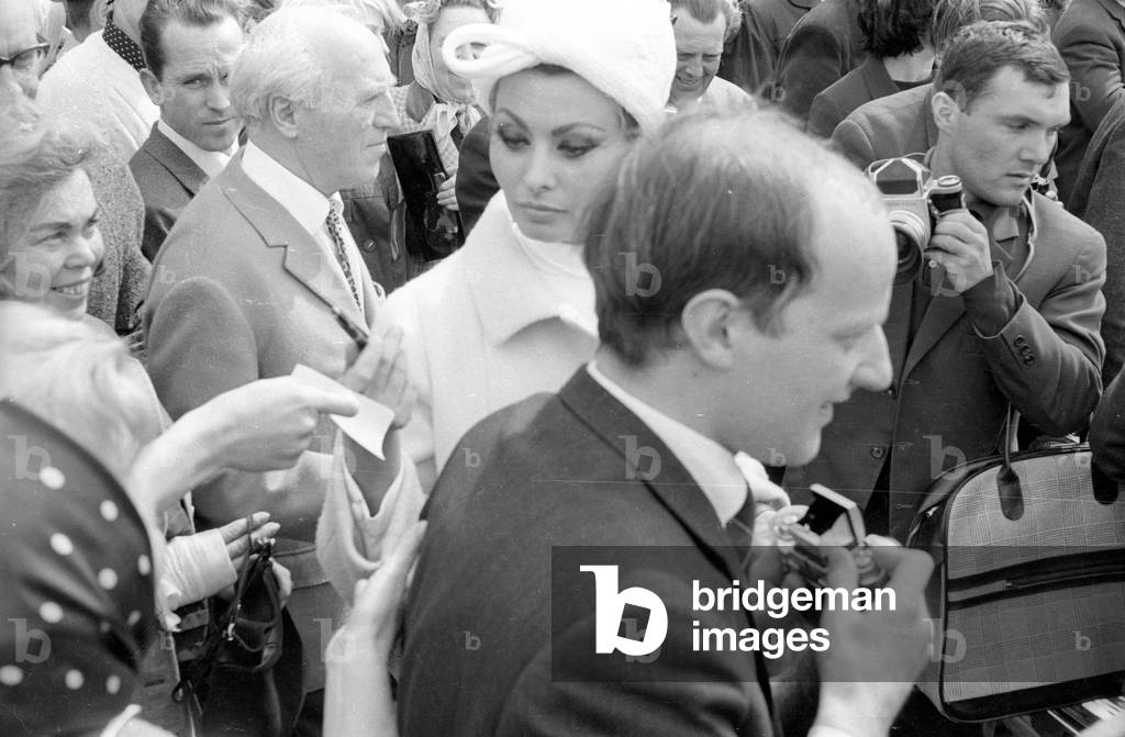 Sophia Loren in Munich, 1965 (b/w photo)