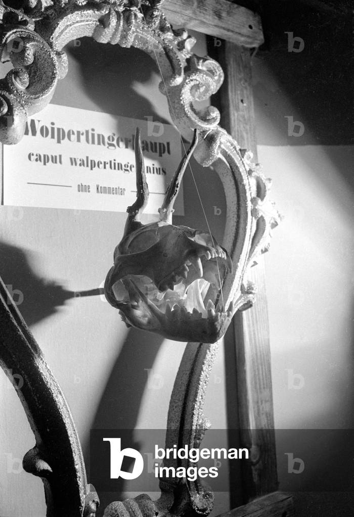 The Wolpertinger Museum, 1974 (b/w photo)