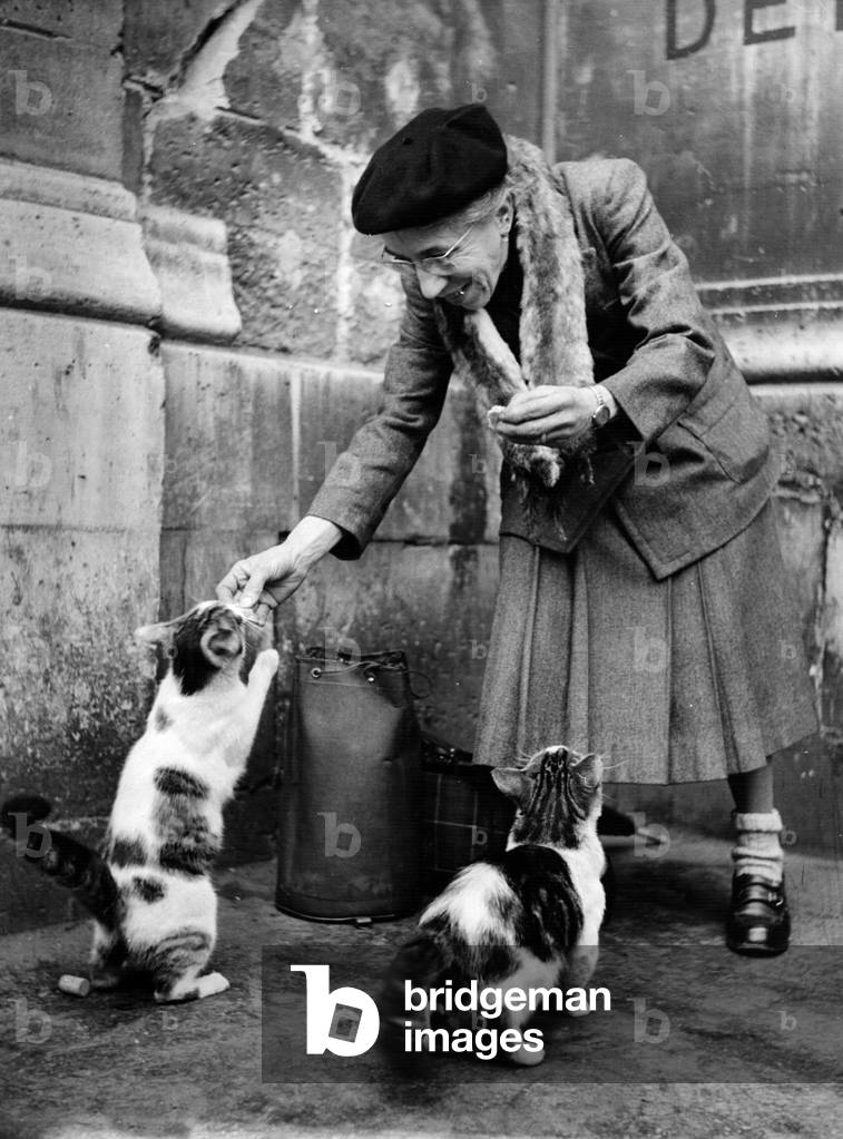 Old woman feeds cats in Paris (b/w photo)