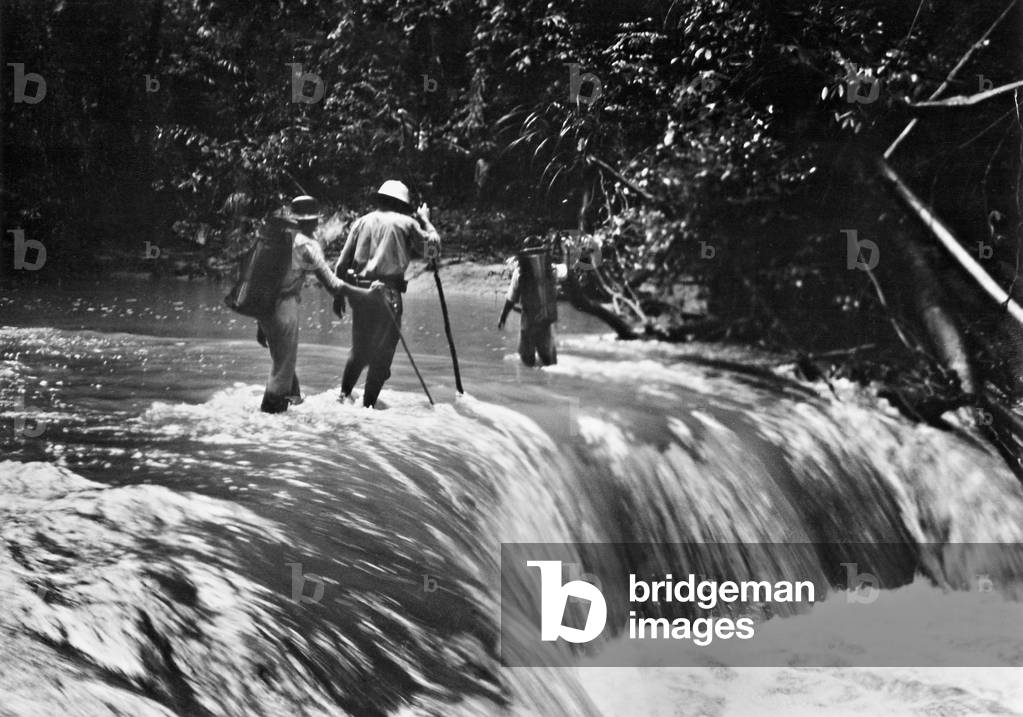 Jungle explorers crossing a river, 1935 (b/w photo)